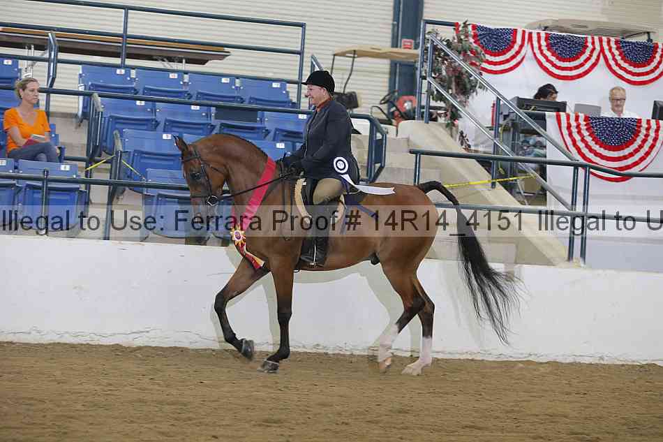 Proof Number 14r14_4151