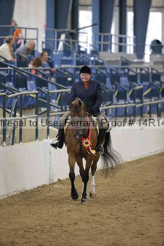 Proof Number 14r14_4153