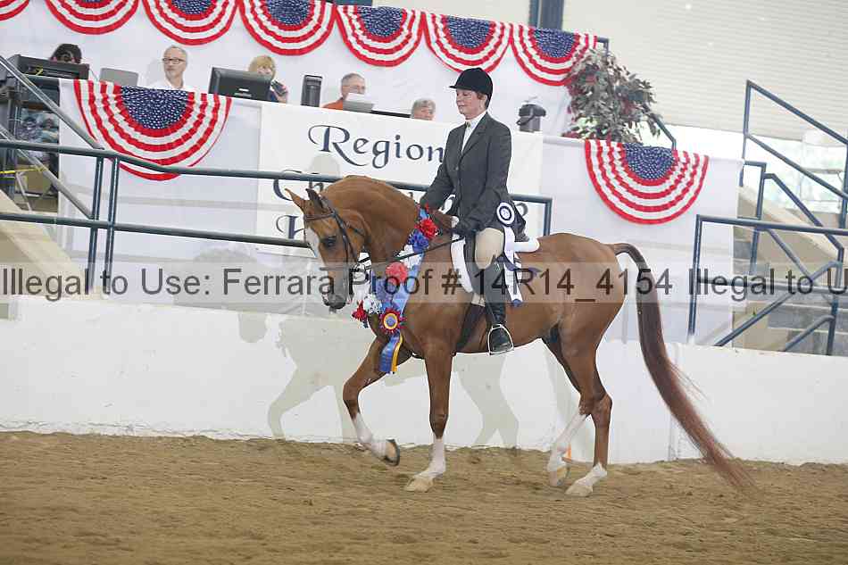 Proof Number 14r14_4154