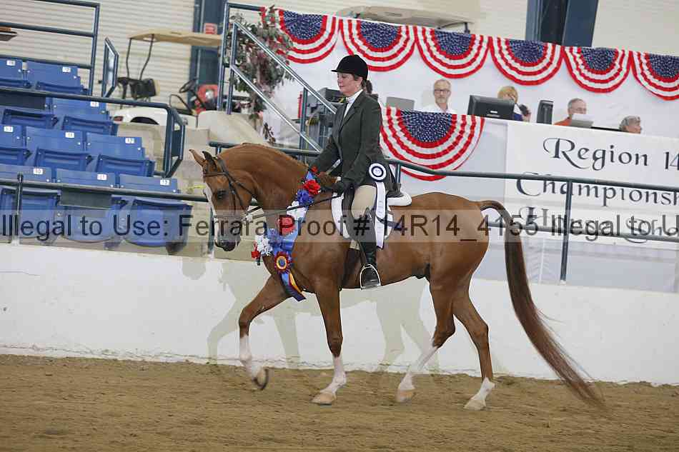 Proof Number 14r14_4155