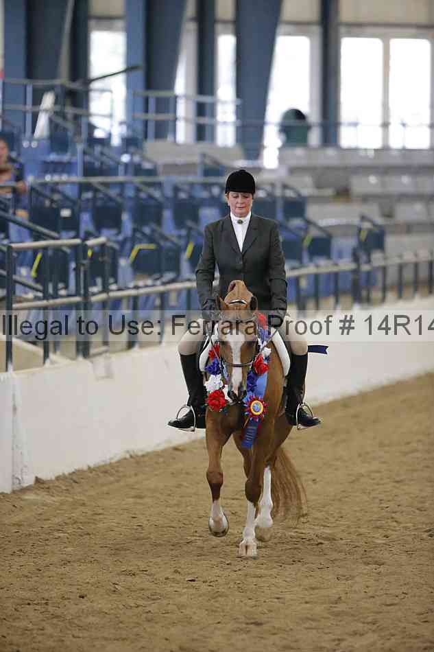 Proof Number 14r14_4156