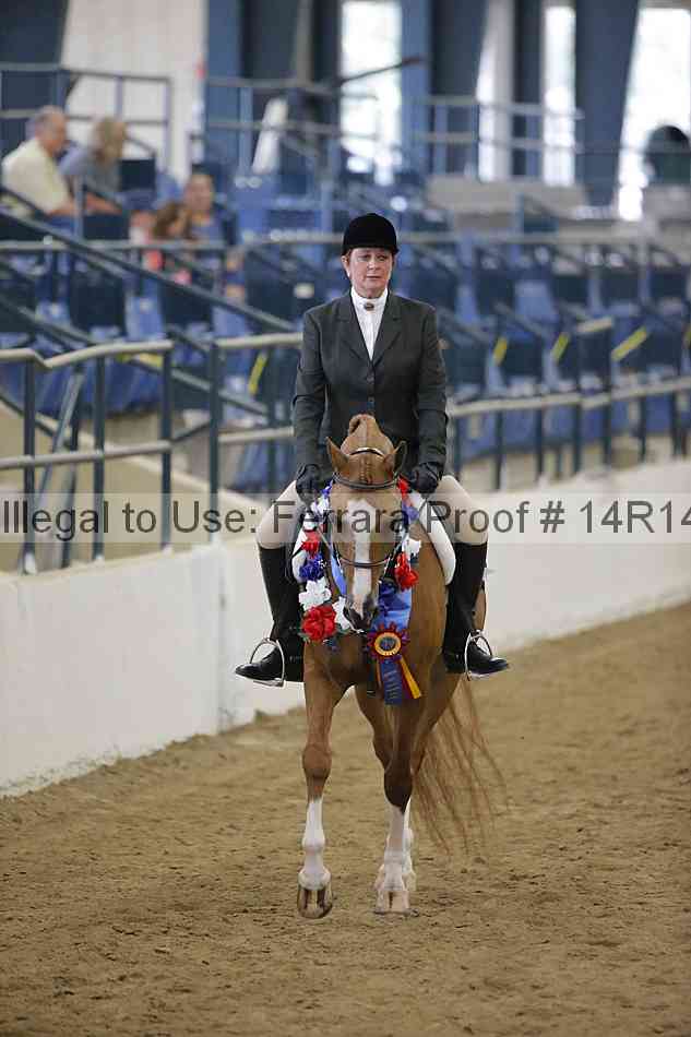 Proof Number 14r14_4157