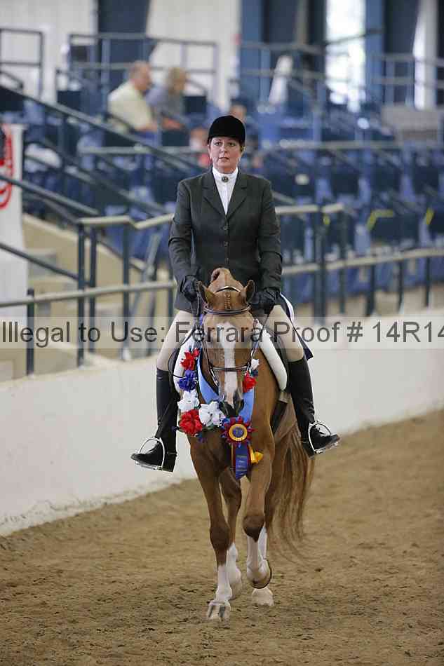 Proof Number 14r14_4158