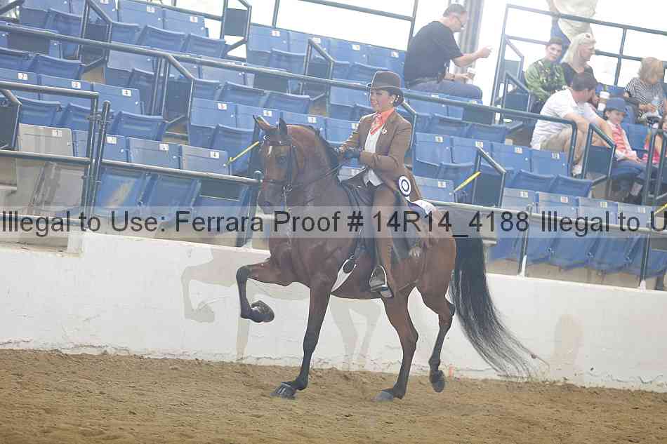 Proof Number 14r14_4188
