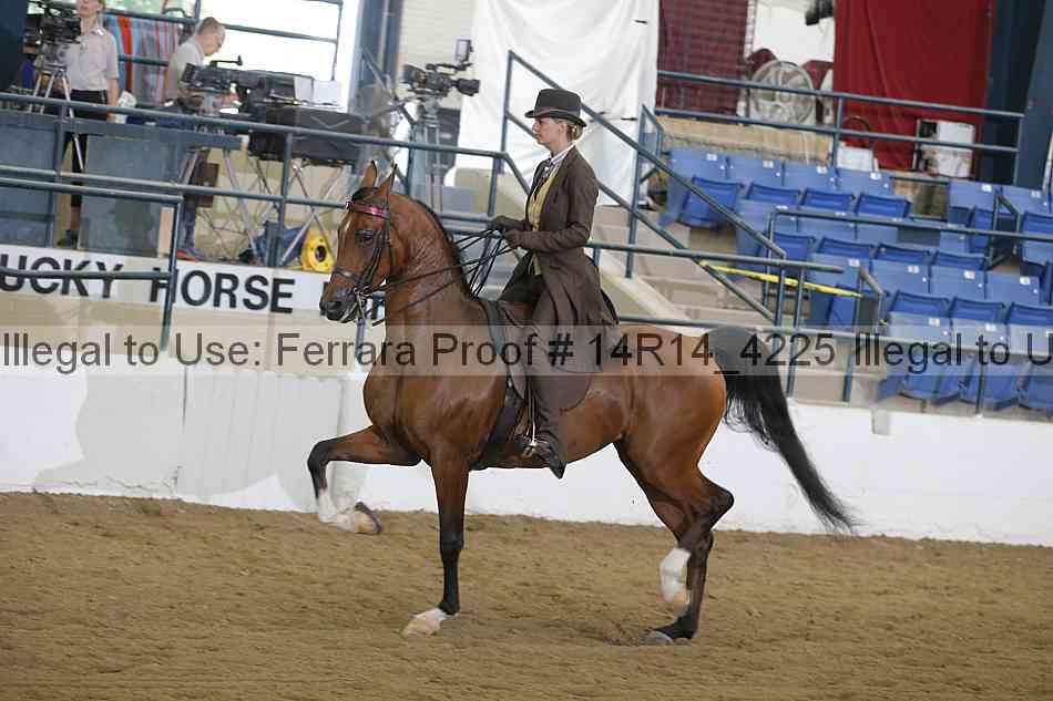 Proof Number 14r14_4225