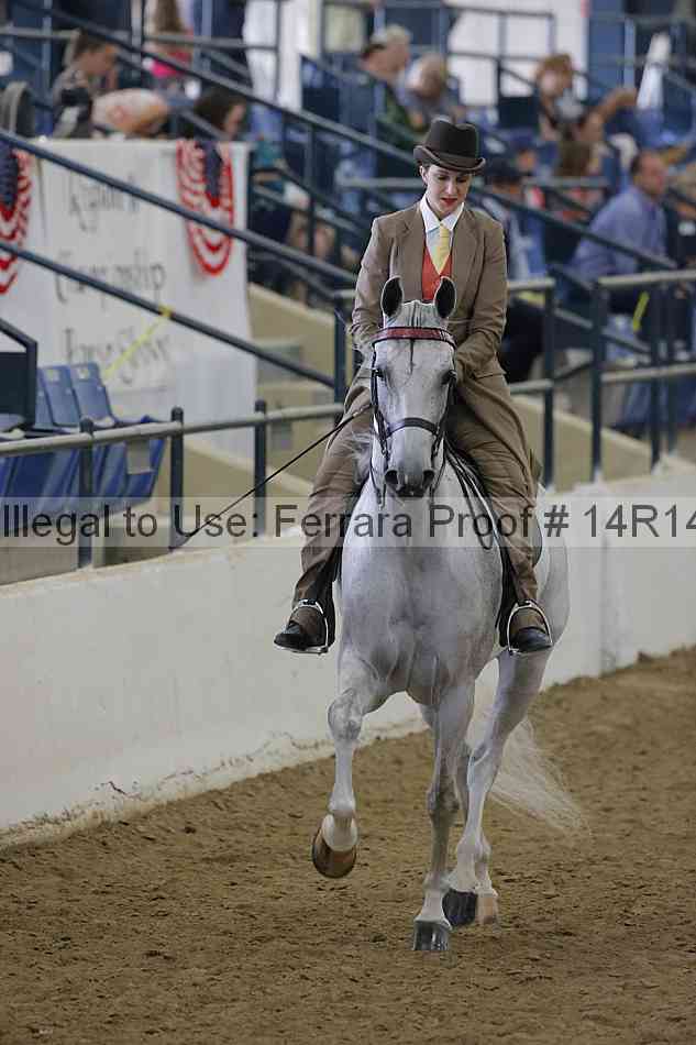 Proof Number 14r14_4227