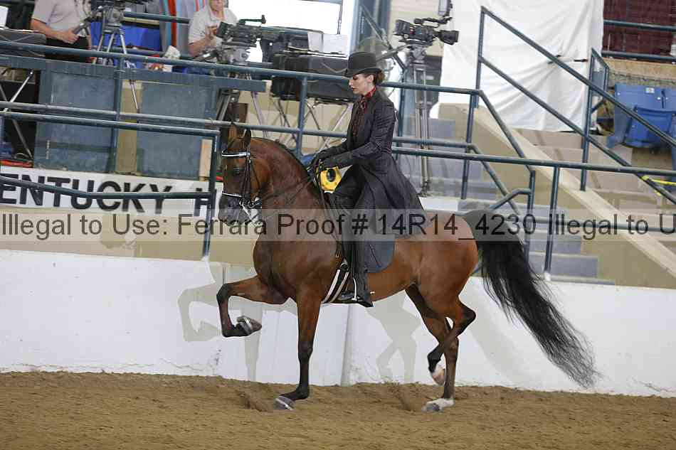 Proof Number 14r14_4230