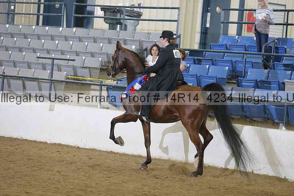 Proof Number 14r14_4234