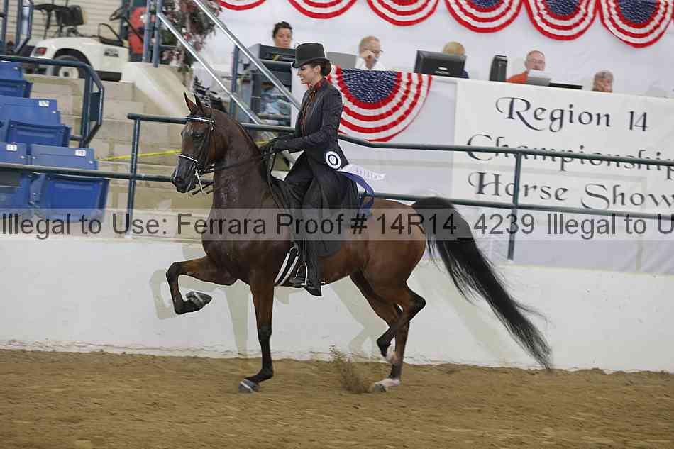 Proof Number 14r14_4239