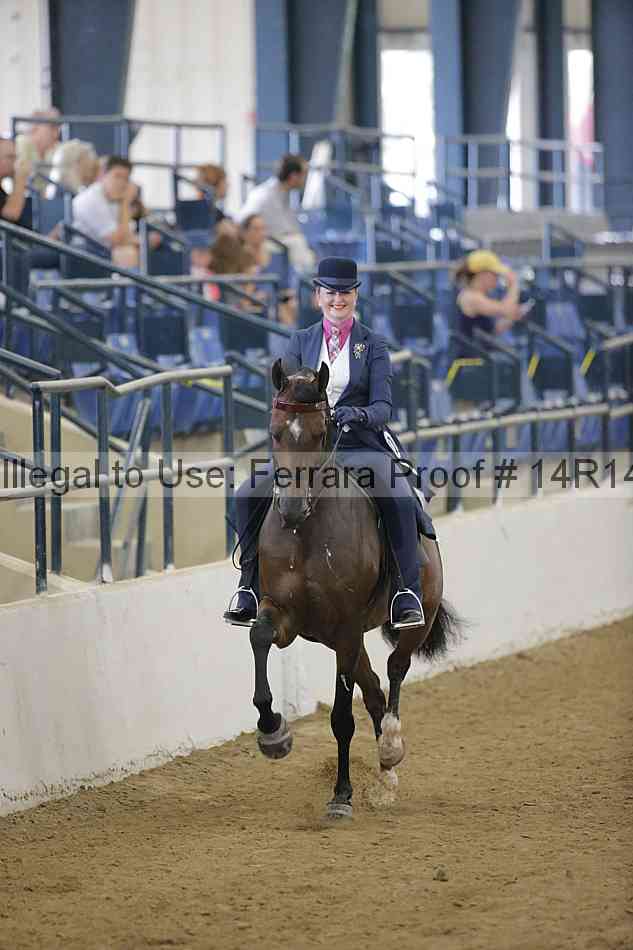 Proof Number 14r14_4243