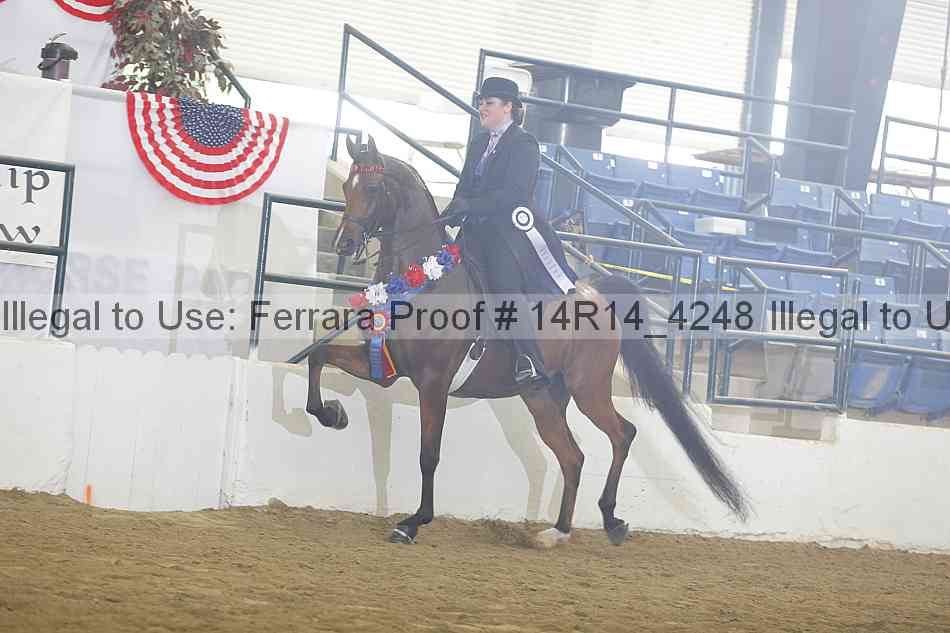 Proof Number 14r14_4248