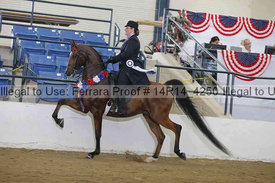 Proof Number 14r14_4250