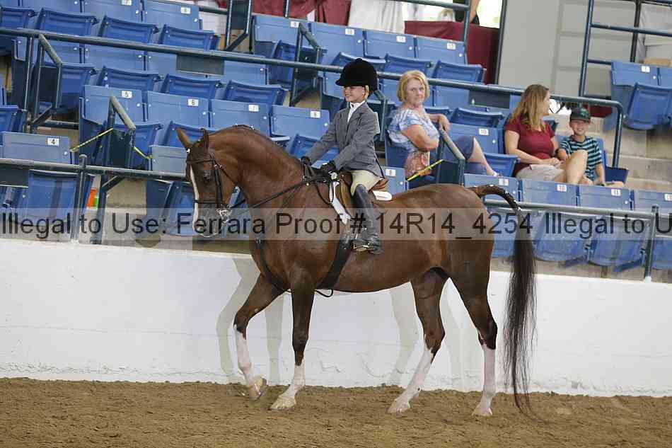 Proof Number 14r14_4254