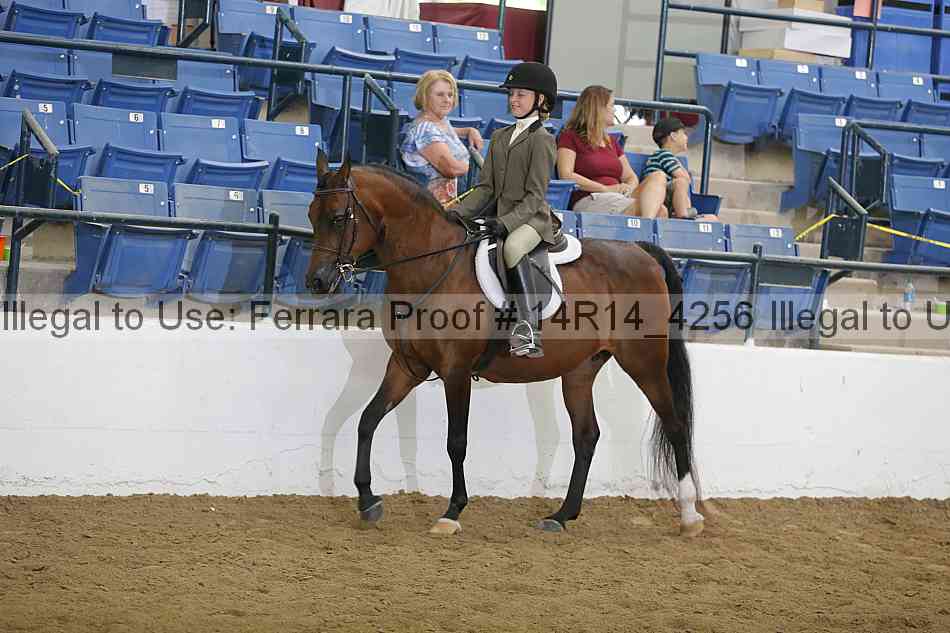 Proof Number 14r14_4256