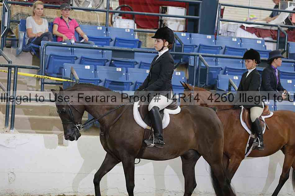 Proof Number 14r14_4260