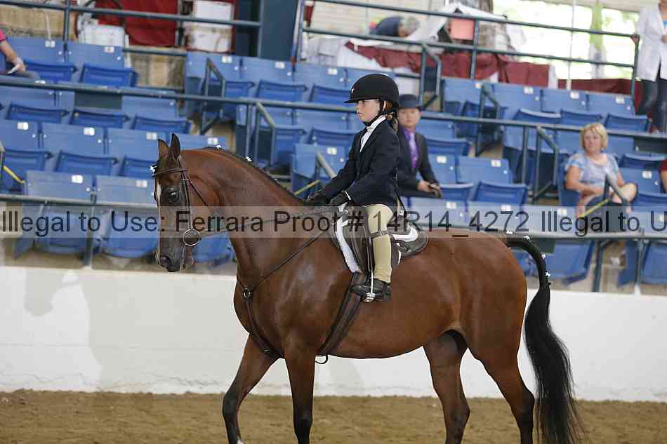 Proof Number 14r14_4272