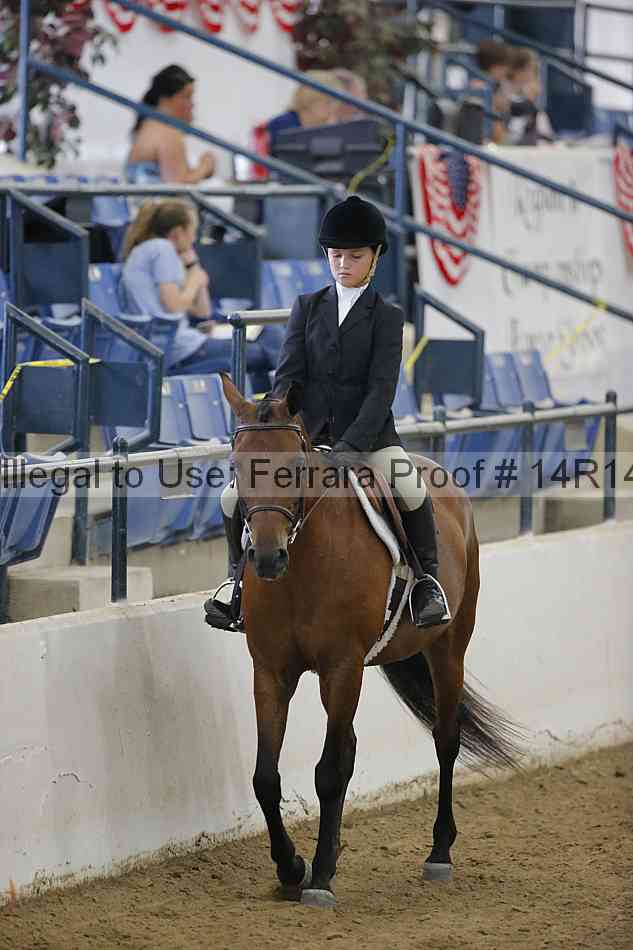 Proof Number 14r14_4276