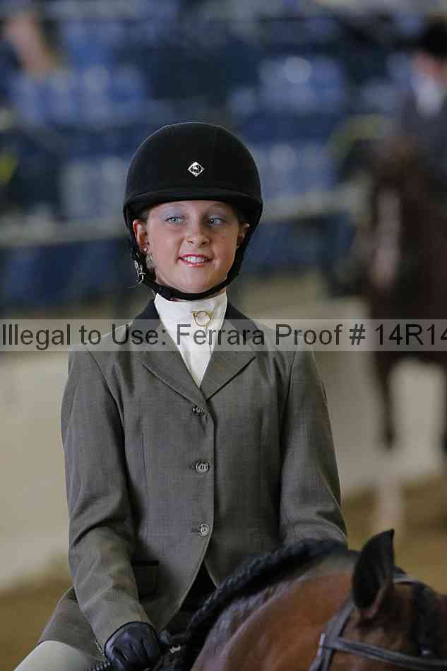 Proof Number 14r14_4278