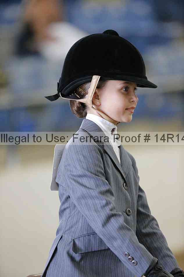 Proof Number 14r14_4280