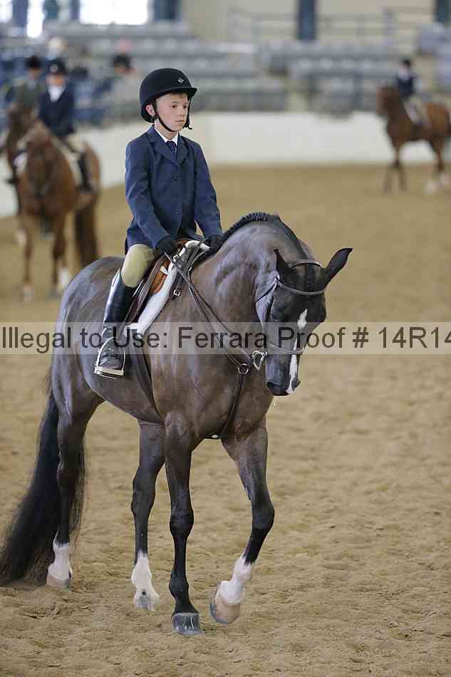 Proof Number 14r14_4282