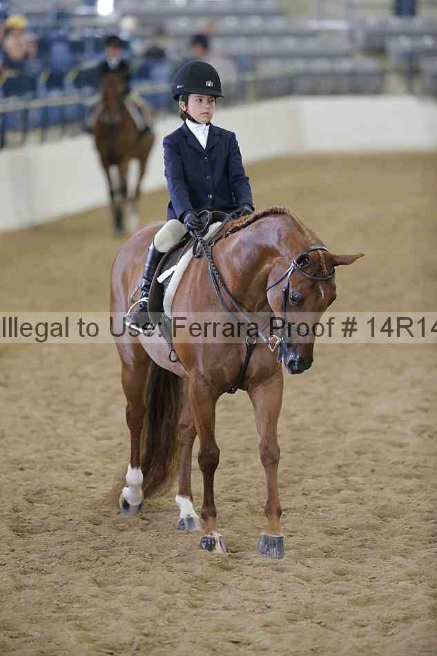 Proof Number 14r14_4283