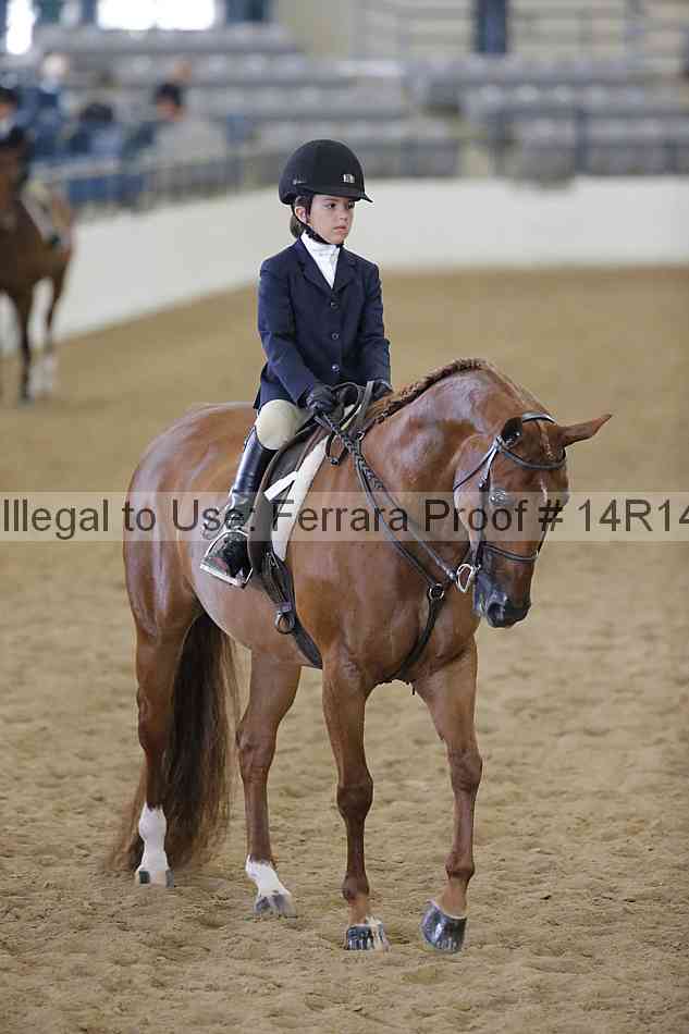 Proof Number 14r14_4284