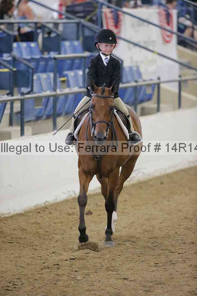 Proof Number 14r14_4289