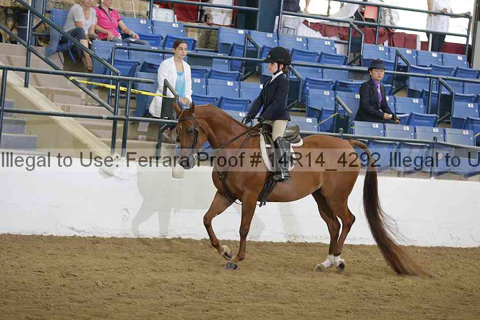 Proof Number 14r14_4292