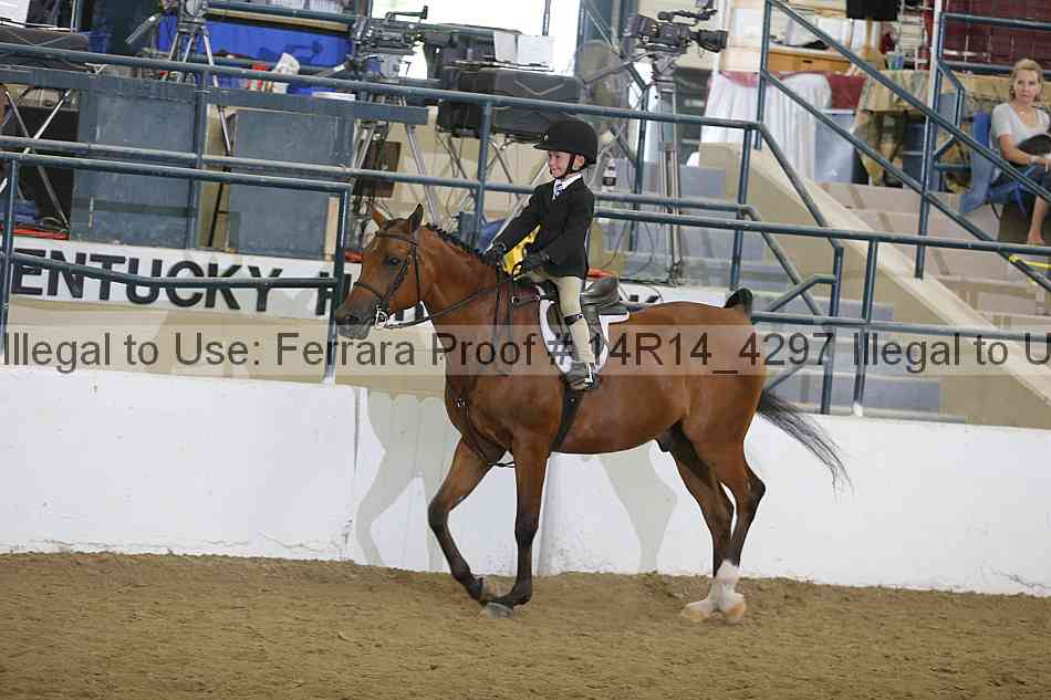Proof Number 14r14_4297