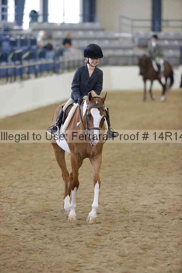 Proof Number 14r14_4298