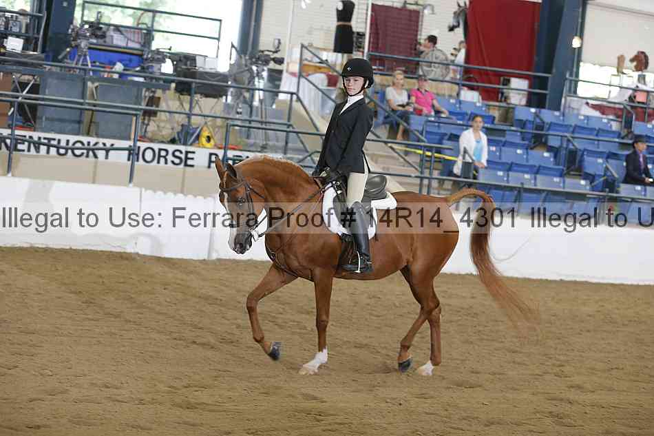 Proof Number 14r14_4301