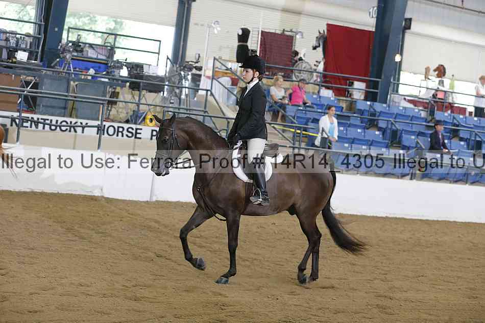 Proof Number 14r14_4305