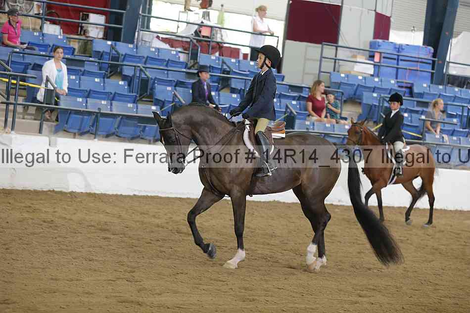 Proof Number 14r14_4307