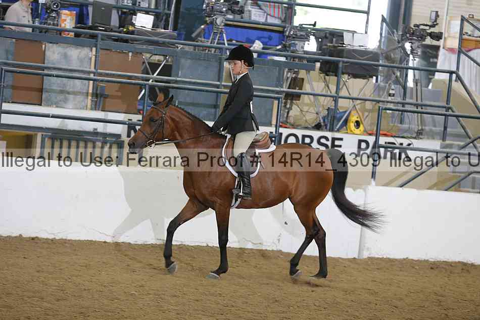 Proof Number 14r14_4309