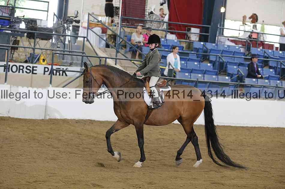 Proof Number 14r14_4314