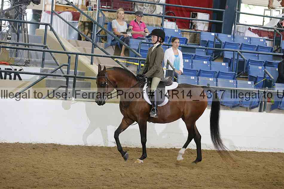 Proof Number 14r14_4317