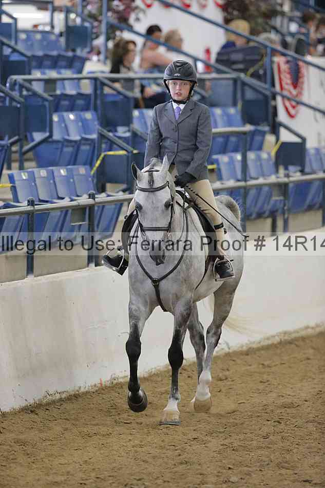 Proof Number 14r14_4318