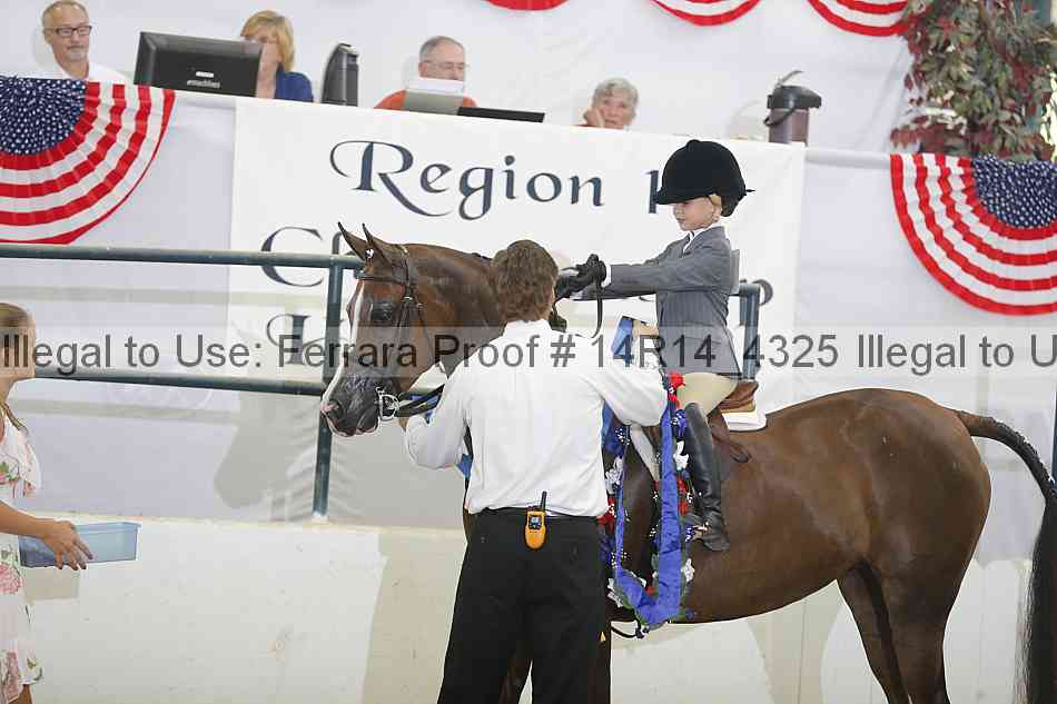 Proof Number 14r14_4325