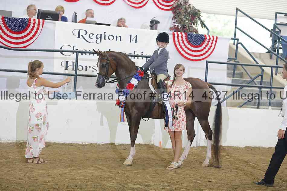 Proof Number 14r14_4327