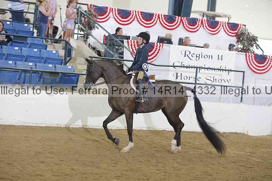 Proof Number 14r14_4332