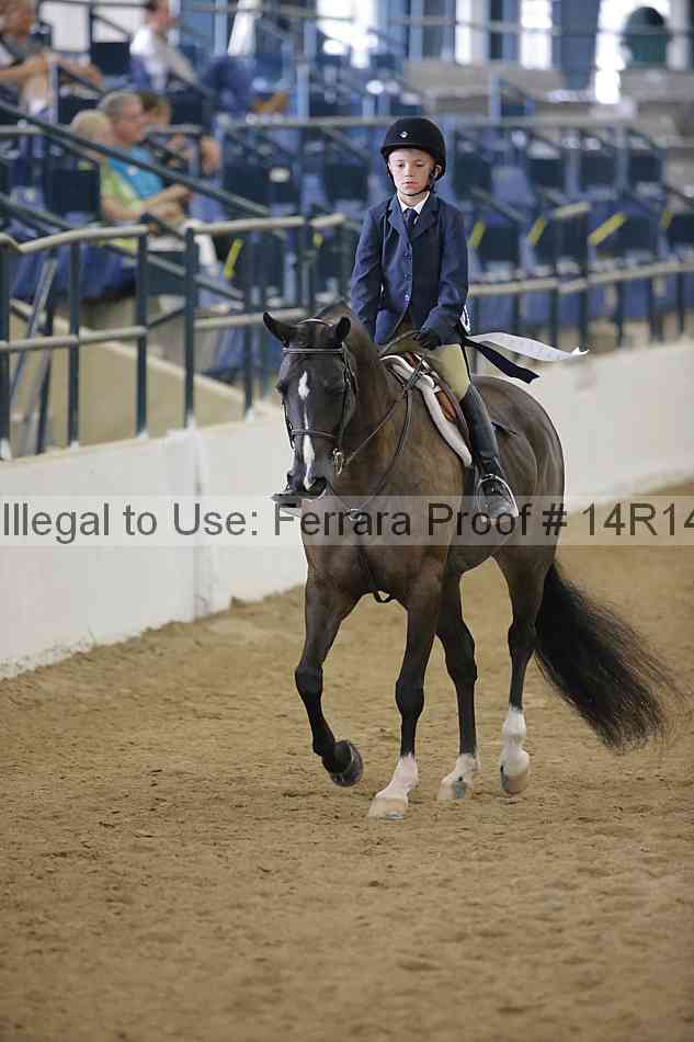 Proof Number 14r14_4335