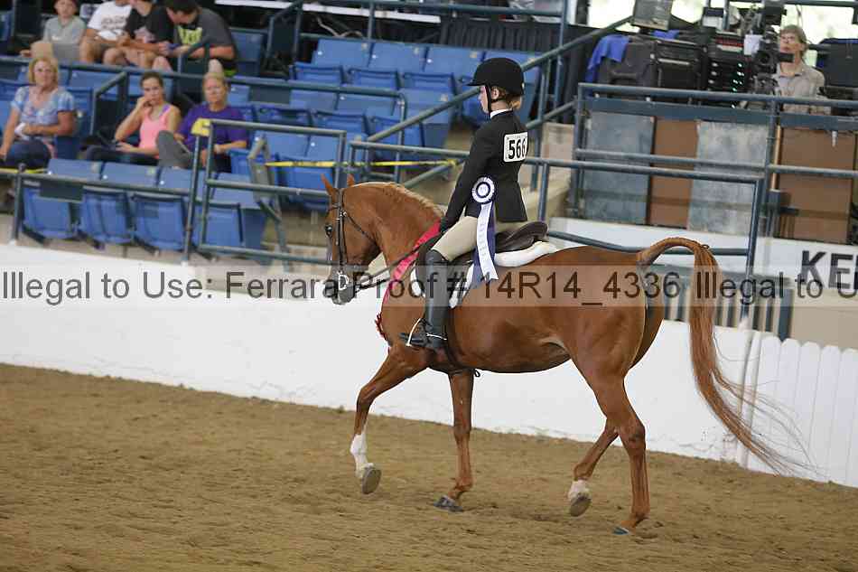Proof Number 14r14_4336
