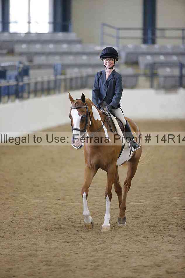 Proof Number 14r14_4337