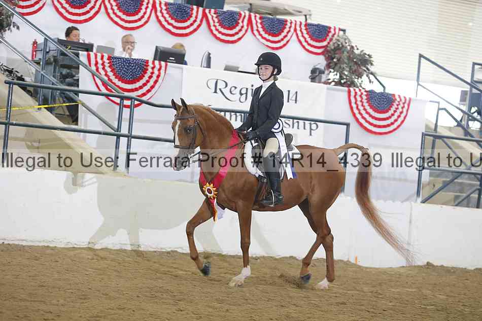 Proof Number 14r14_4339