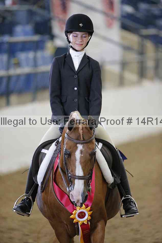 Proof Number 14r14_4345
