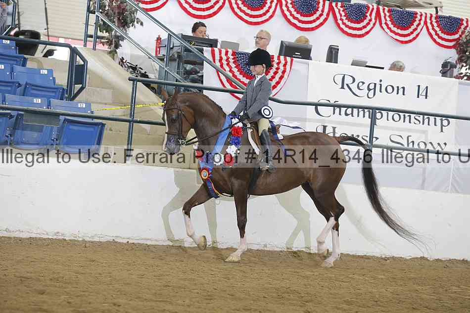 Proof Number 14r14_4346