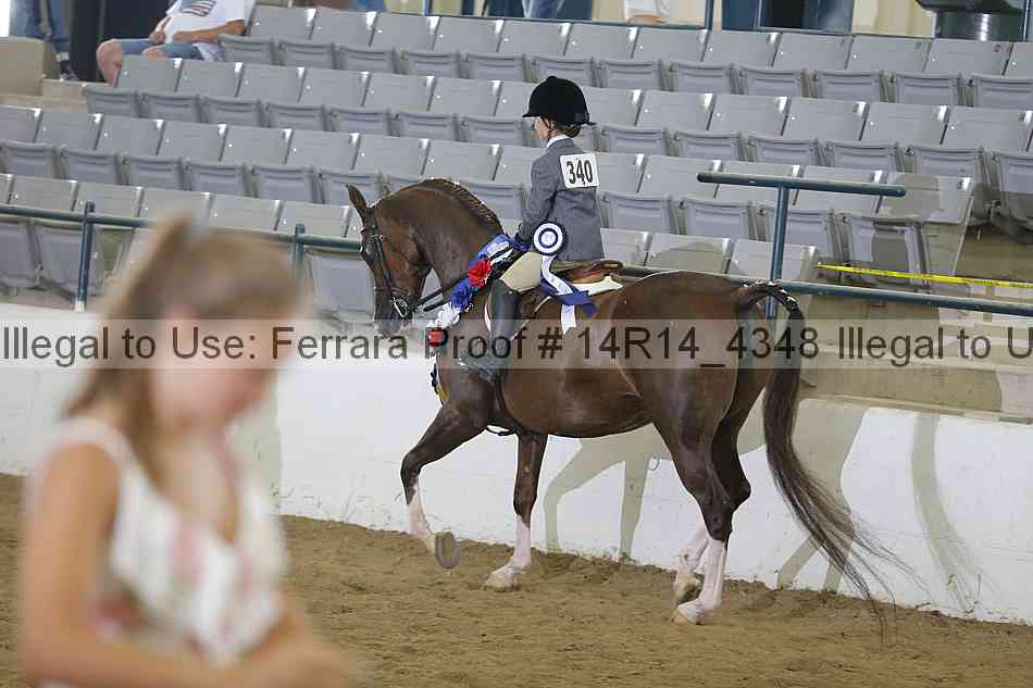 Proof Number 14r14_4348