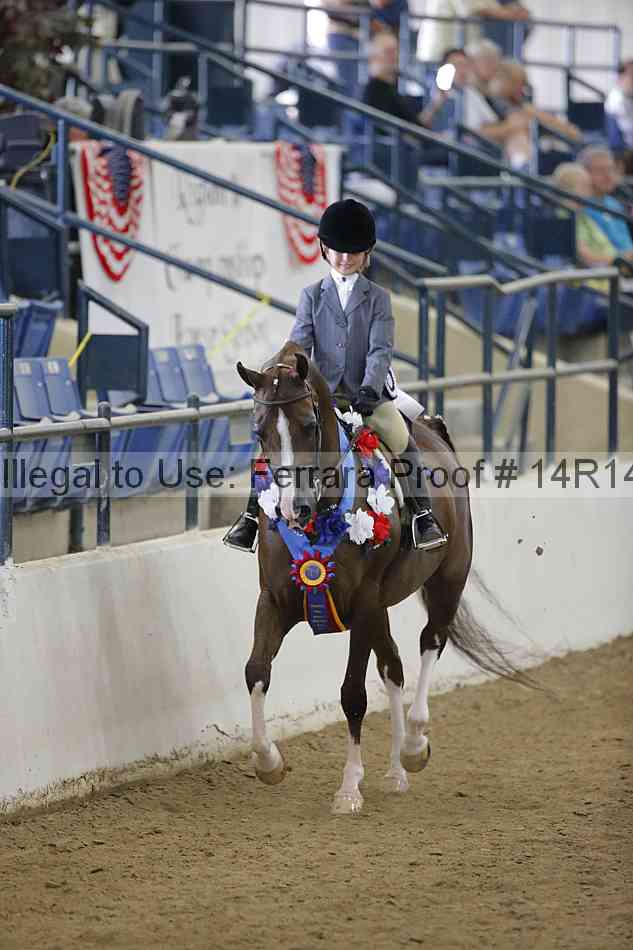 Proof Number 14r14_4349