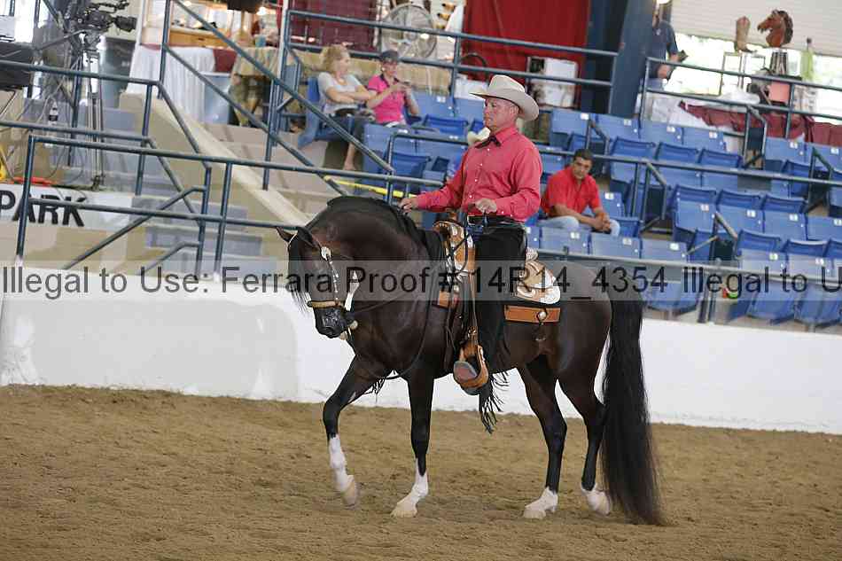Proof Number 14r14_4354