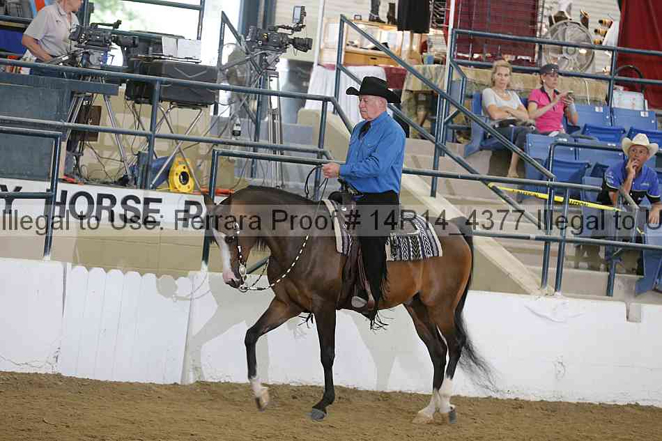 Proof Number 14r14_4377